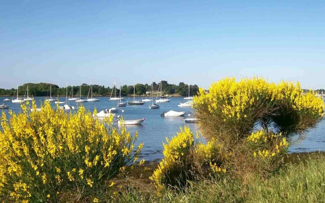 Litige résidence de tourisme Morbihan traesch-avocat